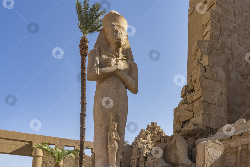 Скачать Статуя Рамсеса II в Карнакском храме Луксора. фотосток Ozero