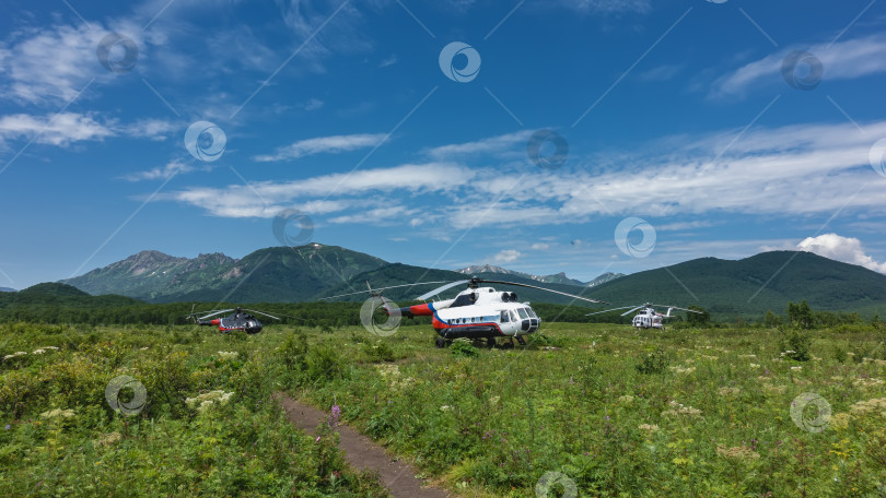 Скачать Вертолеты припаркованы на альпийском лугу. фотосток Ozero