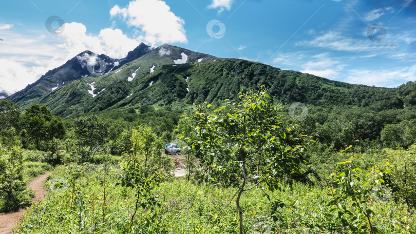 Скачать Тропинка вьется по лугу. фотосток Ozero