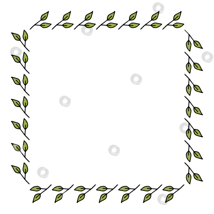 Скачать Квадратная рамка с великолепными зелеными ветвями на белом фоне. Векторное изображение. фотосток Ozero