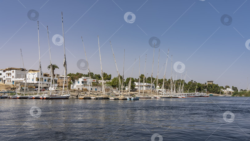Скачать На берегах Нила припарковано множество туристических лодок и фелюг. фотосток Ozero