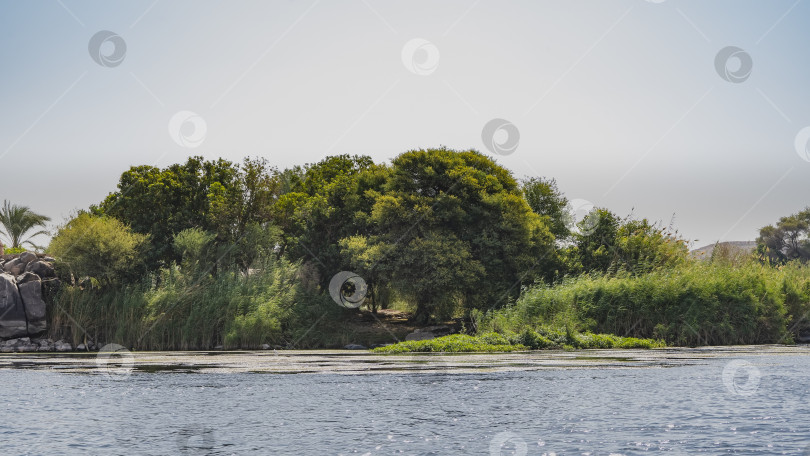 Скачать На берегу реки есть заросли камыша, живописные валуны. фотосток Ozero