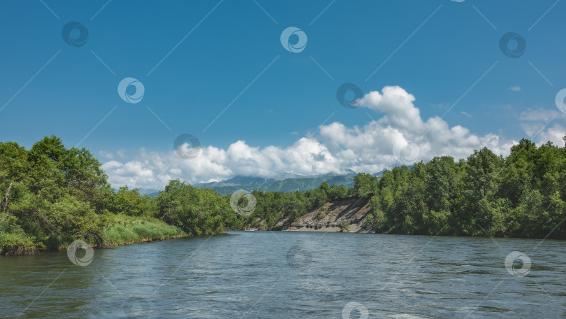 Скачать Голубая река течет спокойно. По берегам растет пышная зеленая растительность. фотосток Ozero