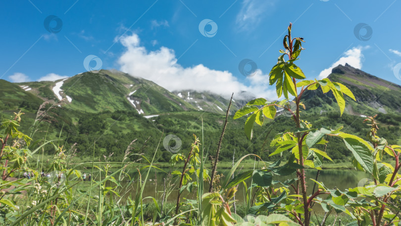 Скачать Озеро окружено живописным горным хребтом. фотосток Ozero