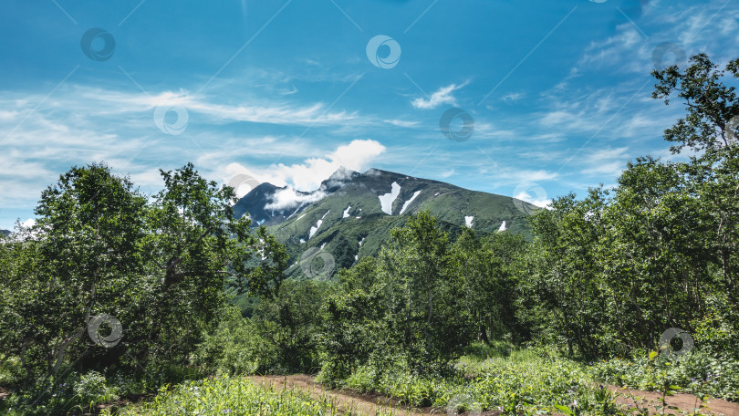 Скачать Грунтовая дорога петляет через лес. фотосток Ozero