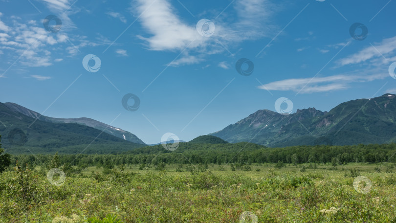 Скачать Альпийский луг окружен живописным горным хребтом. фотосток Ozero