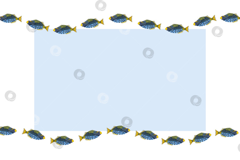 Скачать Акварельная горизонтальная рамка с плавающими рыбками, выделенными на белом фоне. Морская иллюстрация для оформления открыток, различных шаблонов приглашений, поздравительных открыток на день рождения фотосток Ozero