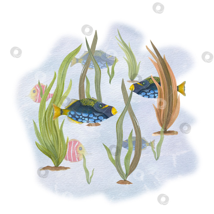 Скачать Тропические рыбы среди морских растений, изолированные на акварельном фоне. Иллюстрацию можно использовать для обоев, принта, детского текстиля, скрапбукинга, открыток, одежды. Мультяшный стиль. фотосток Ozero