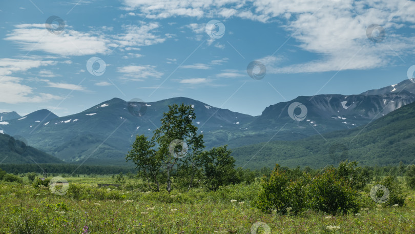 Скачать Альпийский луг, окруженный живописным горным хребтом. фотосток Ozero