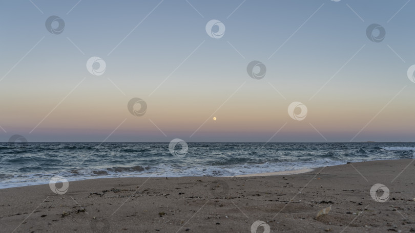Скачать Вечер на пляже Красного моря. фотосток Ozero
