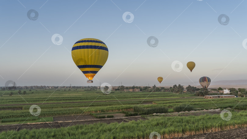 Скачать Яркие воздушные шары низко летают над плантациями сахарного тростника. фотосток Ozero