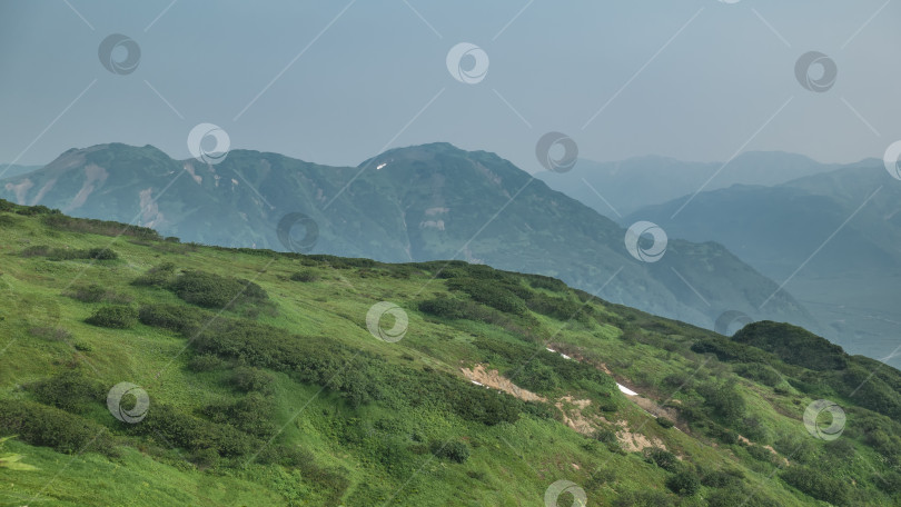 Скачать Склон холма покрыт зеленой травой и кустарниками. фотосток Ozero