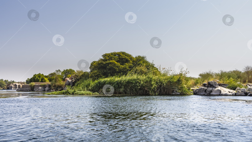 Скачать На берегах Нила видны зеленые деревья, камыши, живописные валуны. фотосток Ozero