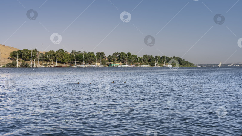 Скачать Туристические лодки и фелюги пришвартованы у берега реки. фотосток Ozero