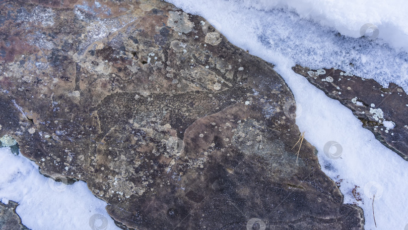 Скачать На камнях, покрытых лишайниками, видны древние петроглифы фотосток Ozero