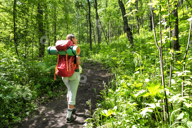 Скачать Молодая туристка с рюкзаком прогуливается по лесу фотосток Ozero