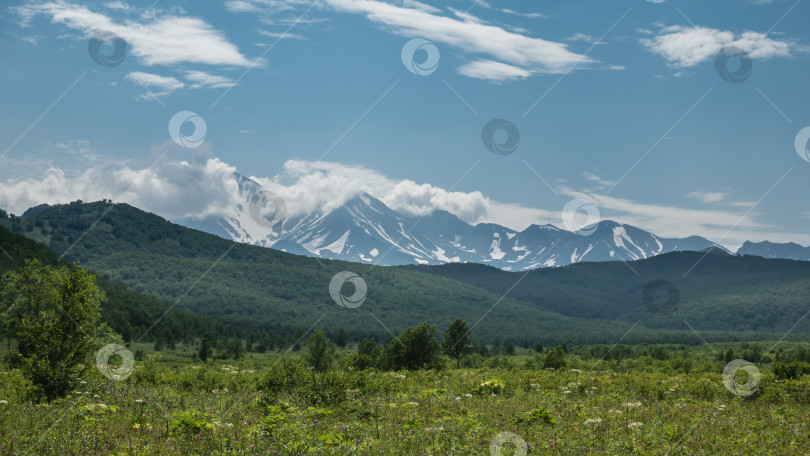 Скачать Луг с пышной растительностью окружен зелеными холмами. фотосток Ozero