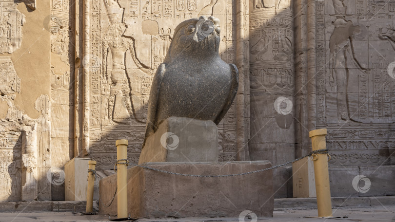 Скачать Гранитная скульптура сокола в древнем храме Гора в Эдфу. фотосток Ozero