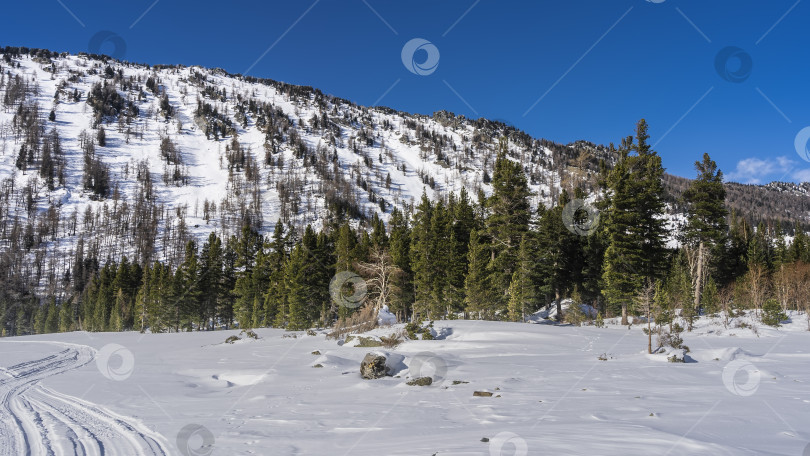 Скачать На заснеженной долине видны следы шин. фотосток Ozero