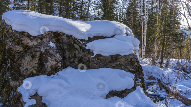 Скачать Огромный растрескавшийся валун в зимнем лесу. фотосток Ozero