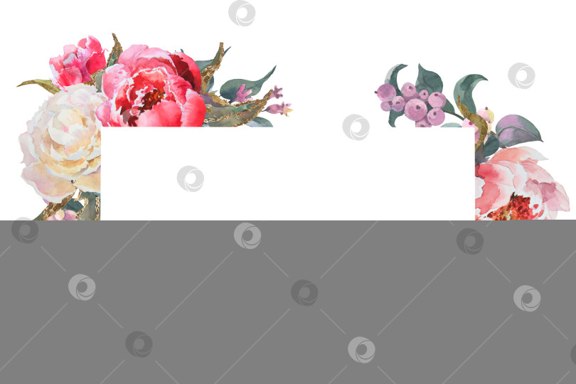 Скачать Акварельная горизонтальная рамка, шаблон, розовые и белые пионы, ветви эвкалипта. Нарисованная от руки ботаническая иллюстрация, выделенная на белом фоне. Для приглашений сохраните дату свадьбы фотосток Ozero