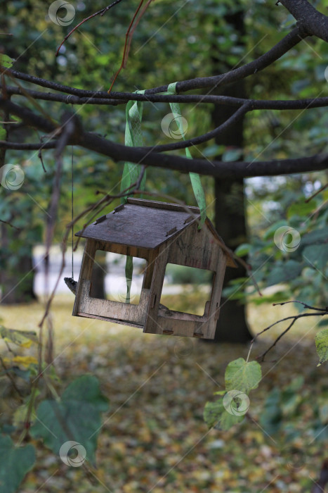 Скачать Фанерная кормушка для птиц в форме домика фотосток Ozero