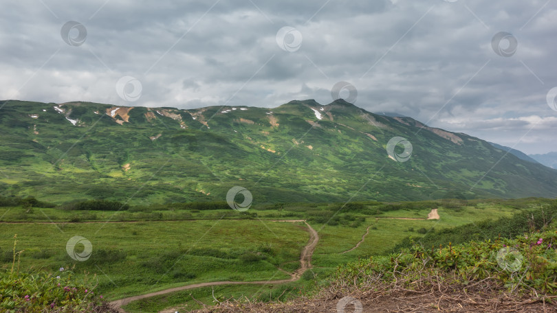 Скачать В долине есть тропинки, вьющиеся по зеленому лугу. фотосток Ozero