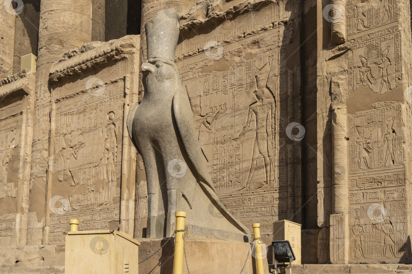 Скачать Гранитная статуя сокола в короне на фоне стены храма Гора в Эдфу. фотосток Ozero