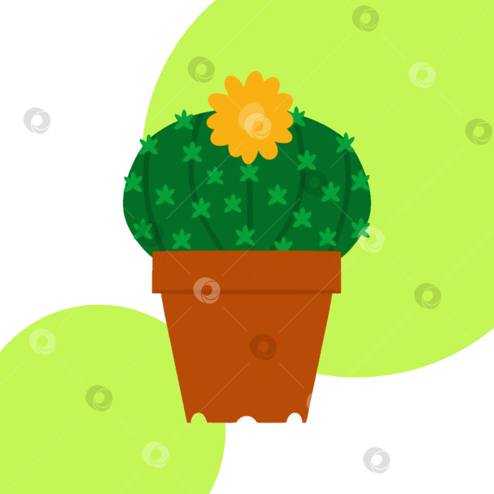 Скачать Цветущий зеленый кактус в цветочном горшке. Векторная иллюстрация. Желтый цветок. Изображение, выделенное на цветном фоне. Элемент дизайна. фотосток Ozero