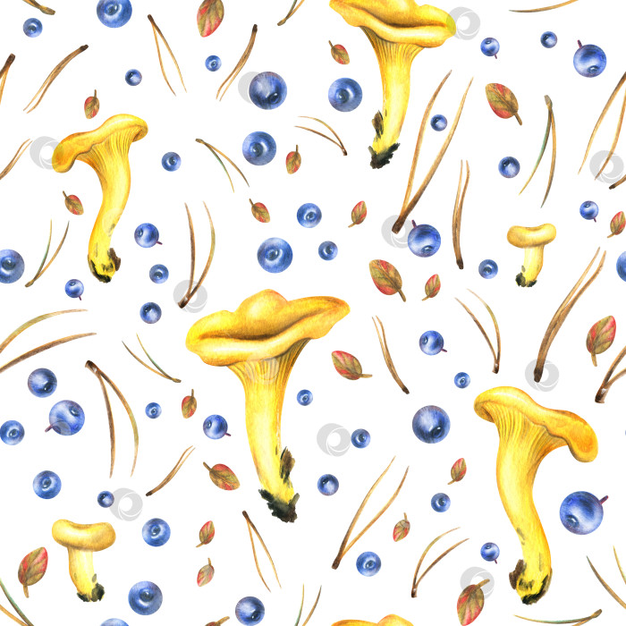Скачать Лесные съедобные грибы лисички желтого цвета с оттенками черники, осенних листьев и сосновых иголок. Акварельная иллюстрация, нарисованная от руки. Бесшовный узор на белом фоне. фотосток Ozero