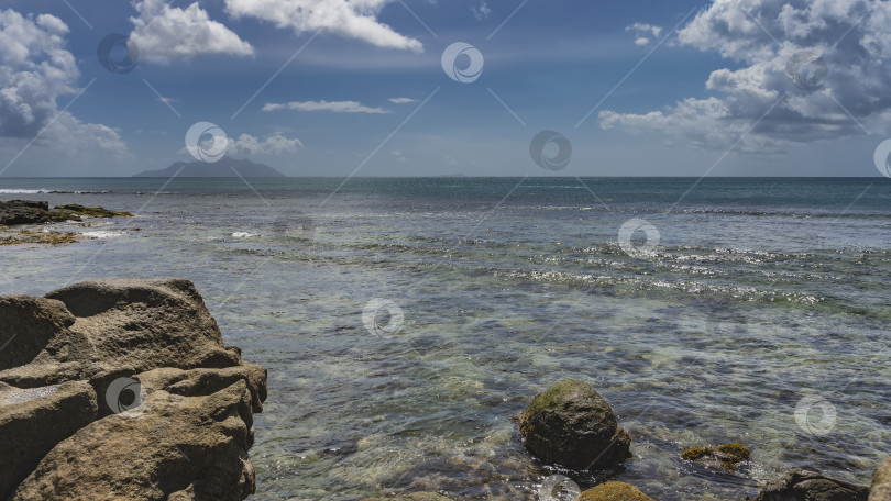 Скачать Сквозь прозрачную бирюзовую воду видно каменистое дно океана. фотосток Ozero