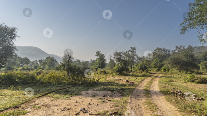 Скачать Грунтовая дорога для сафари петляет по джунглям. фотосток Ozero