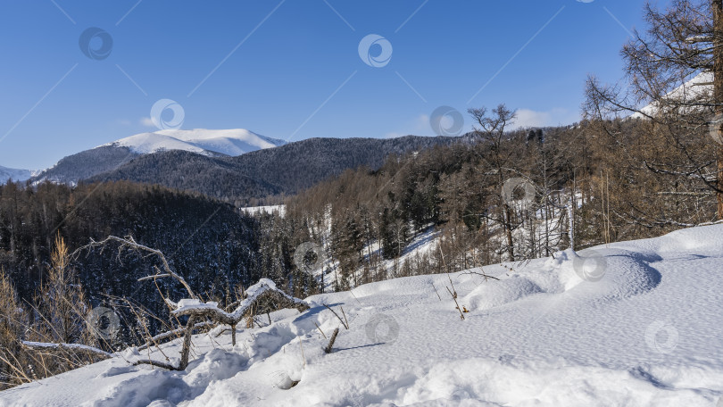 Скачать Склон холма покрыт чистым снегом. фотосток Ozero