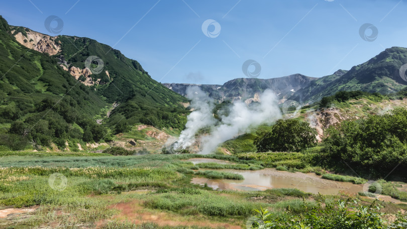 Скачать Среди пышной зеленой растительности видны горячие источники фотосток Ozero