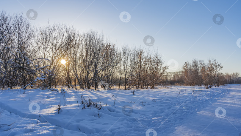 Скачать Дорожки вытоптаны в снегу. фотосток Ozero