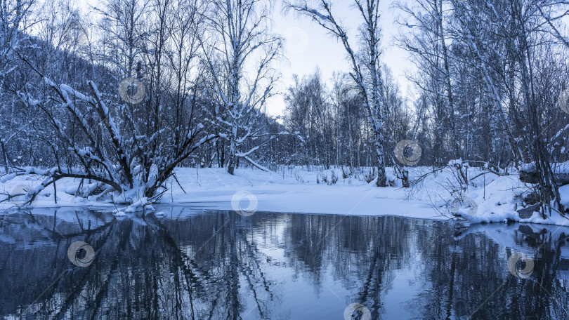 Скачать Незамерзающее озеро в зимнем лесу. фотосток Ozero