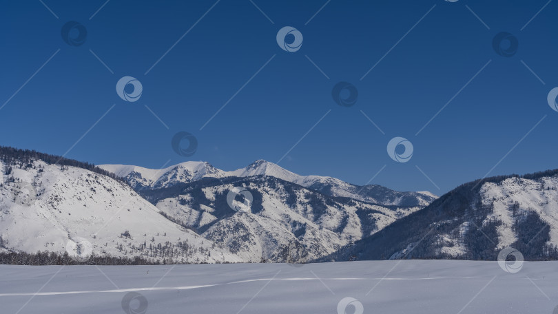 Скачать Чистый белый снег покрывает долину. фотосток Ozero