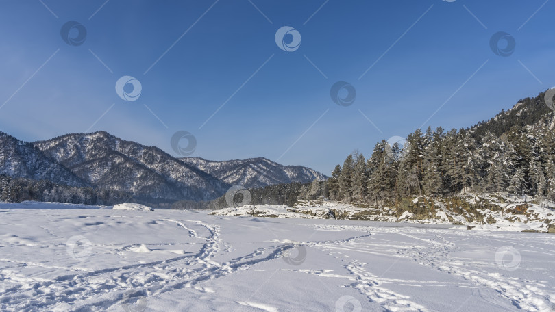 Скачать В заснеженной долине видно множество следов. фотосток Ozero