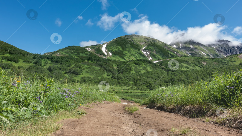 Скачать Грунтовая дорога на зеленом лугу. фотосток Ozero