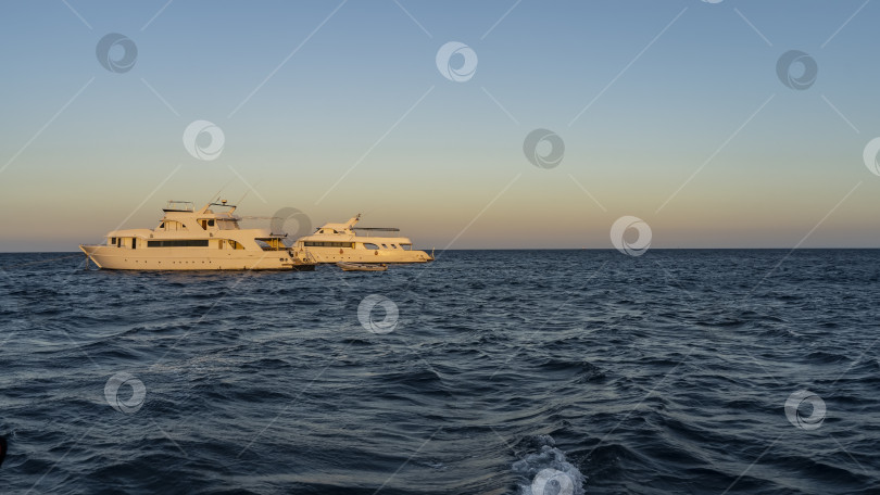 Скачать Две белые яхты в Красном море освещены вечерним солнцем фотосток Ozero