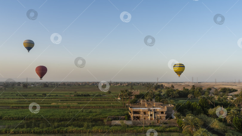 Скачать Яркие воздушные шары летают над долиной Нила. фотосток Ozero
