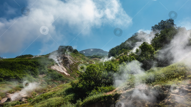 Скачать На склонах гор есть зеленая растительность фотосток Ozero