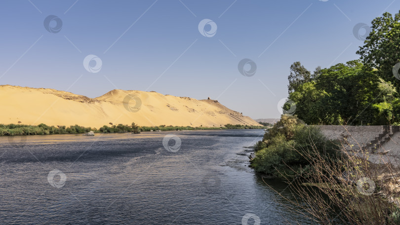 Скачать Спокойная голубая река. На переднем плане - зеленая растительность. фотосток Ozero