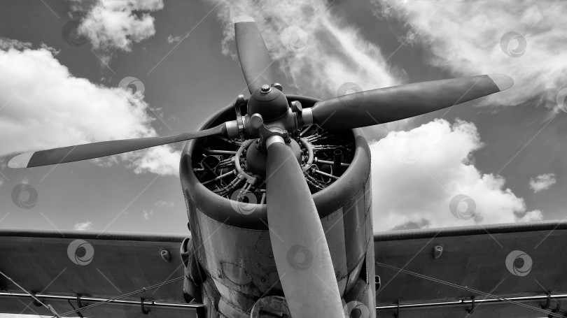 Скачать старый самолет с винтами в черно-белом цвете фотосток Ozero