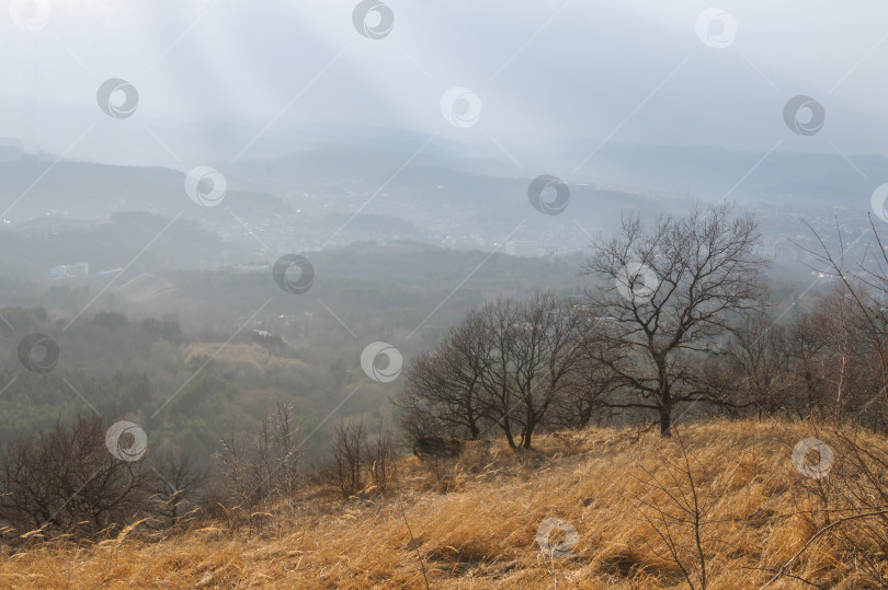 Скачать Солнечные лучи над землей. фотосток Ozero