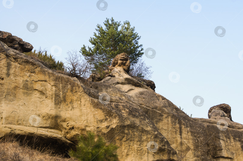 Скачать Камень, похожий на человеческую голову. фотосток Ozero