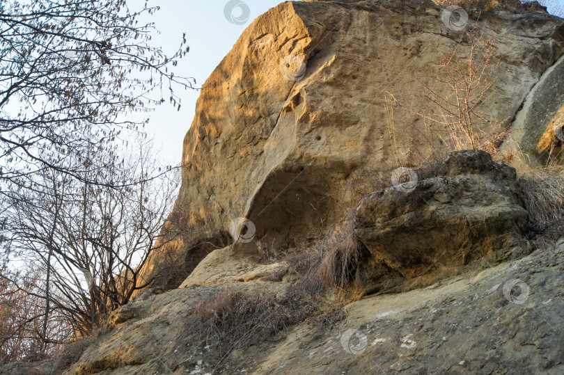 Скачать Камень возле кустов. фотосток Ozero