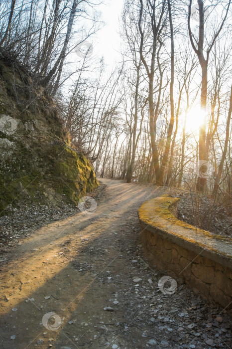 Скачать Свет вечернего солнца. фотосток Ozero