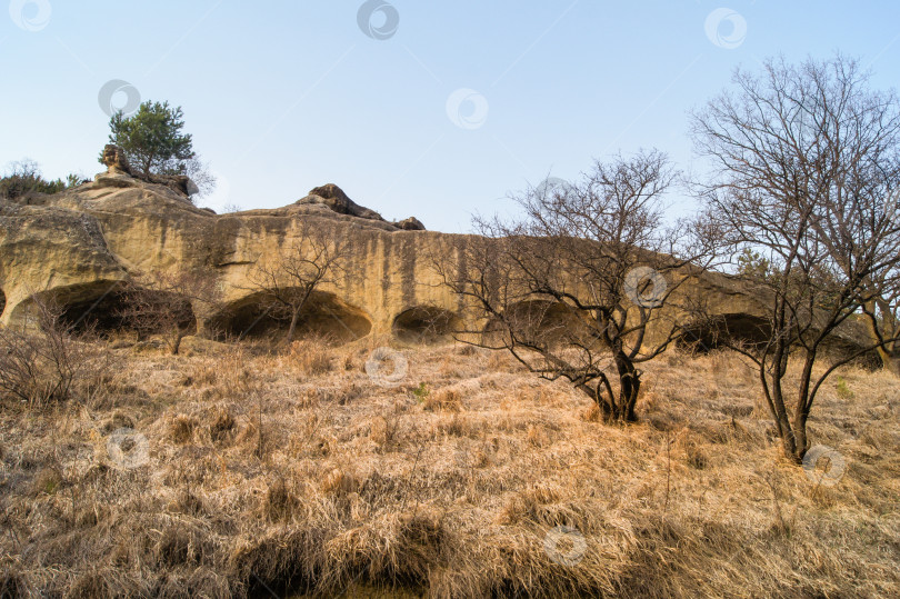 Скачать Пещерный каменный хребет. фотосток Ozero