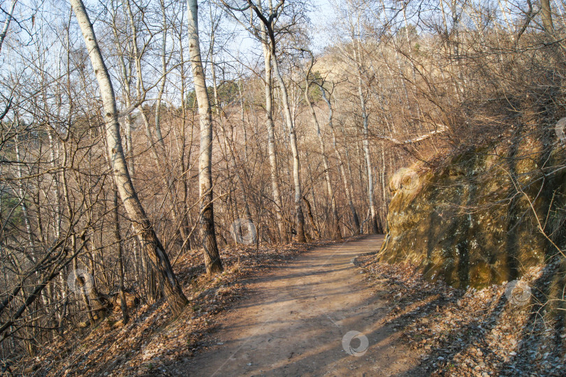 Скачать Тропинка в диком парке. фотосток Ozero